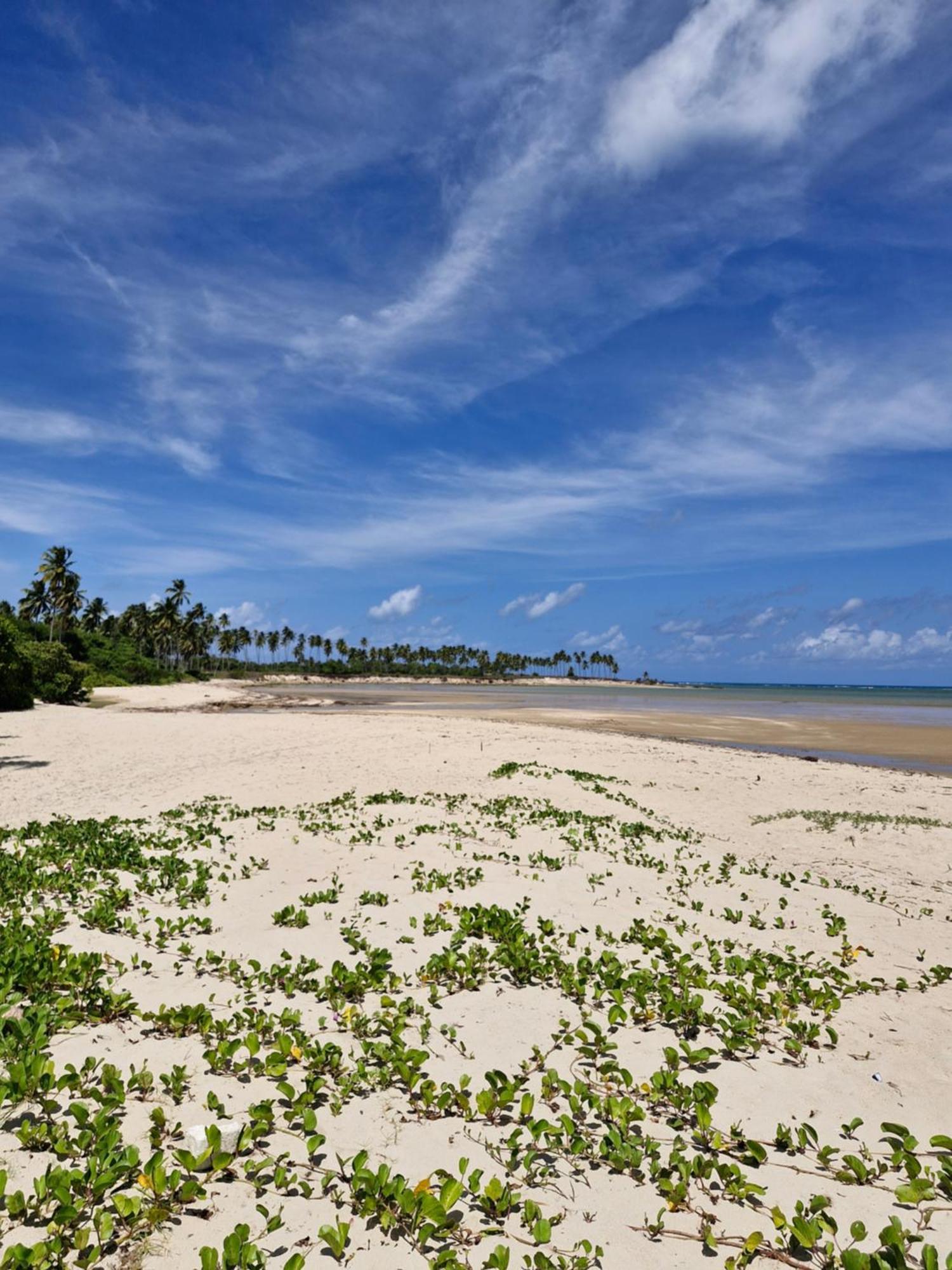 Msflats Paripueira Praia Wifi Ar Cozinha E Varanda Nascente C Rede Exteriör bild
