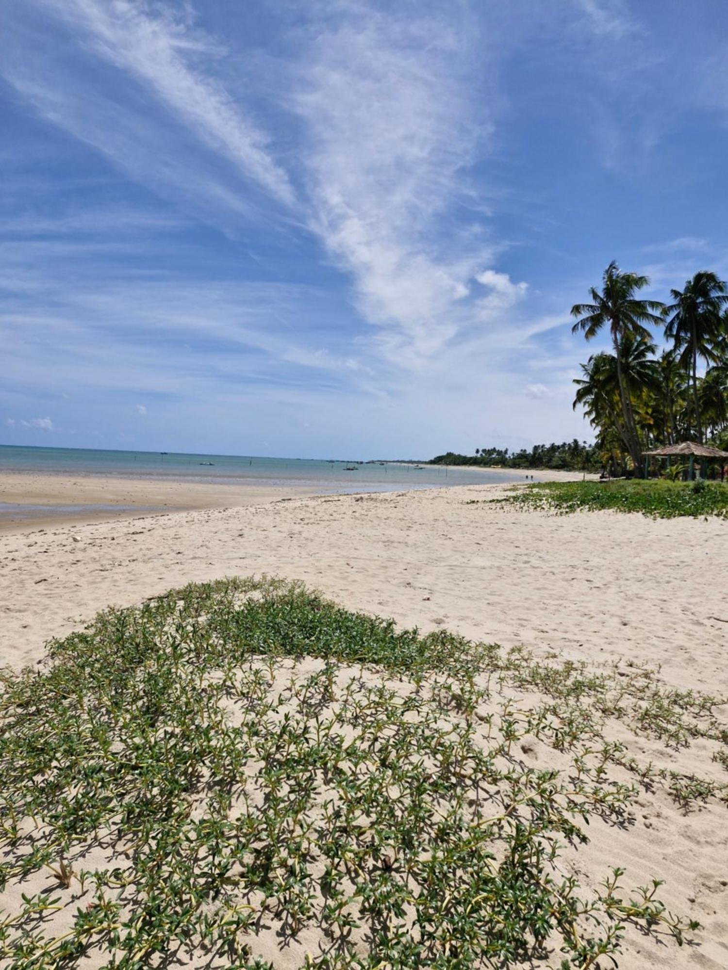 Msflats Paripueira Praia Wifi Ar Cozinha E Varanda Nascente C Rede Exteriör bild